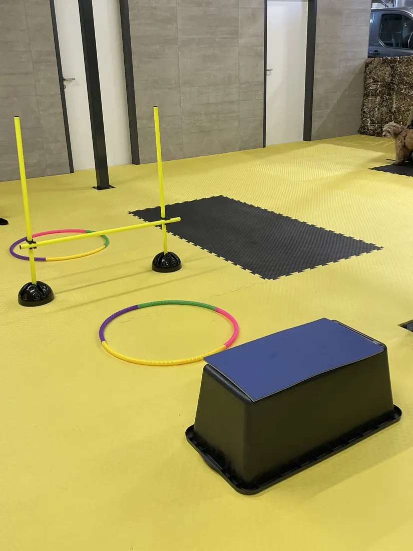 Trainingsgeräte in der Indoorhalle: Stangen, Reifen und Podest