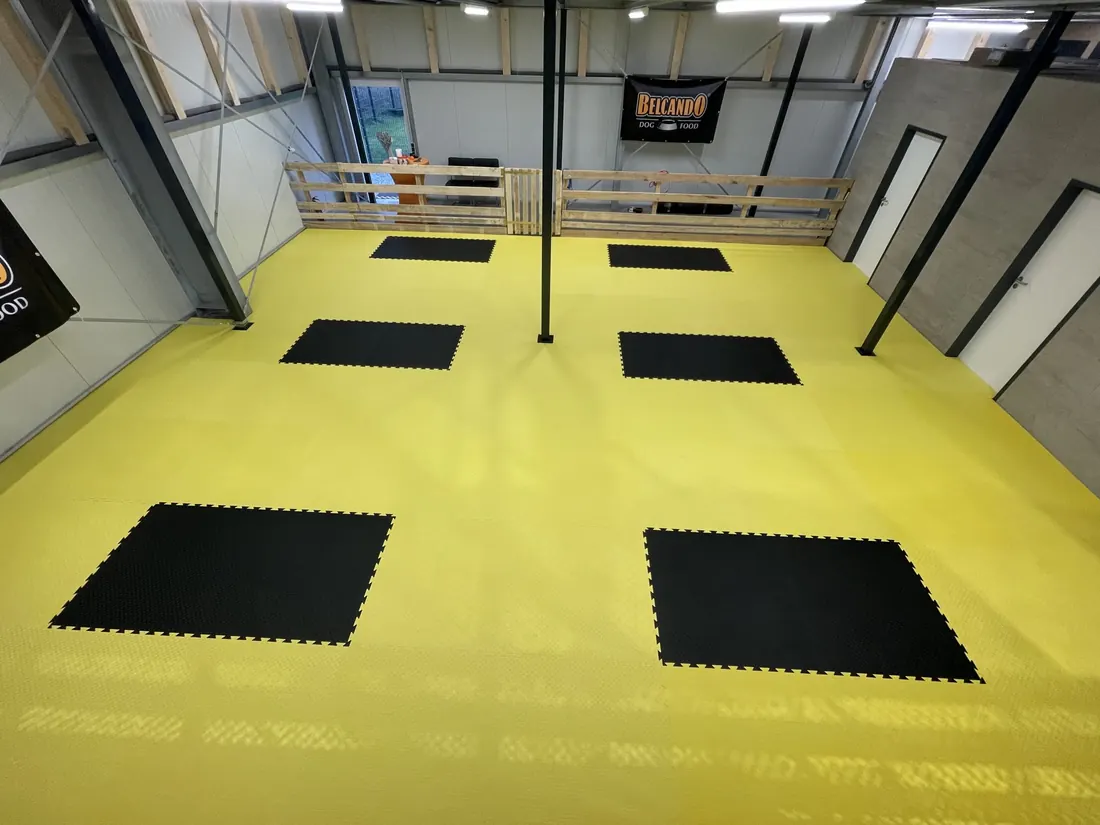 Helle, weitläufige Indoor-Trainingshalle mit gelbem Boden